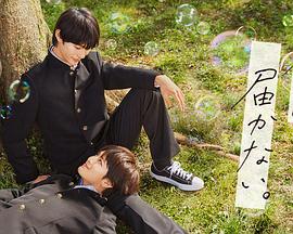 泉州搜狗优化网站公司